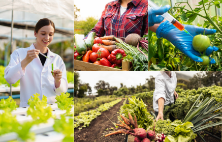 ΓΤΟ τροφές: Σωτηρία ή απειλή;