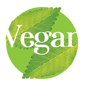 BIO Vegan Πρωτεΐνη - VanaVita