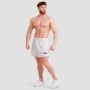 Unity Shorts Grey - GymBeam XXL