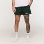 Varsity Shorts Green - GymBeam XXXL