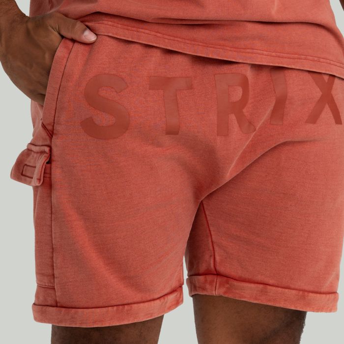 Σορτς Washed Terra - STRIX XL